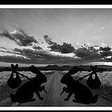 JourneyBunny的头像