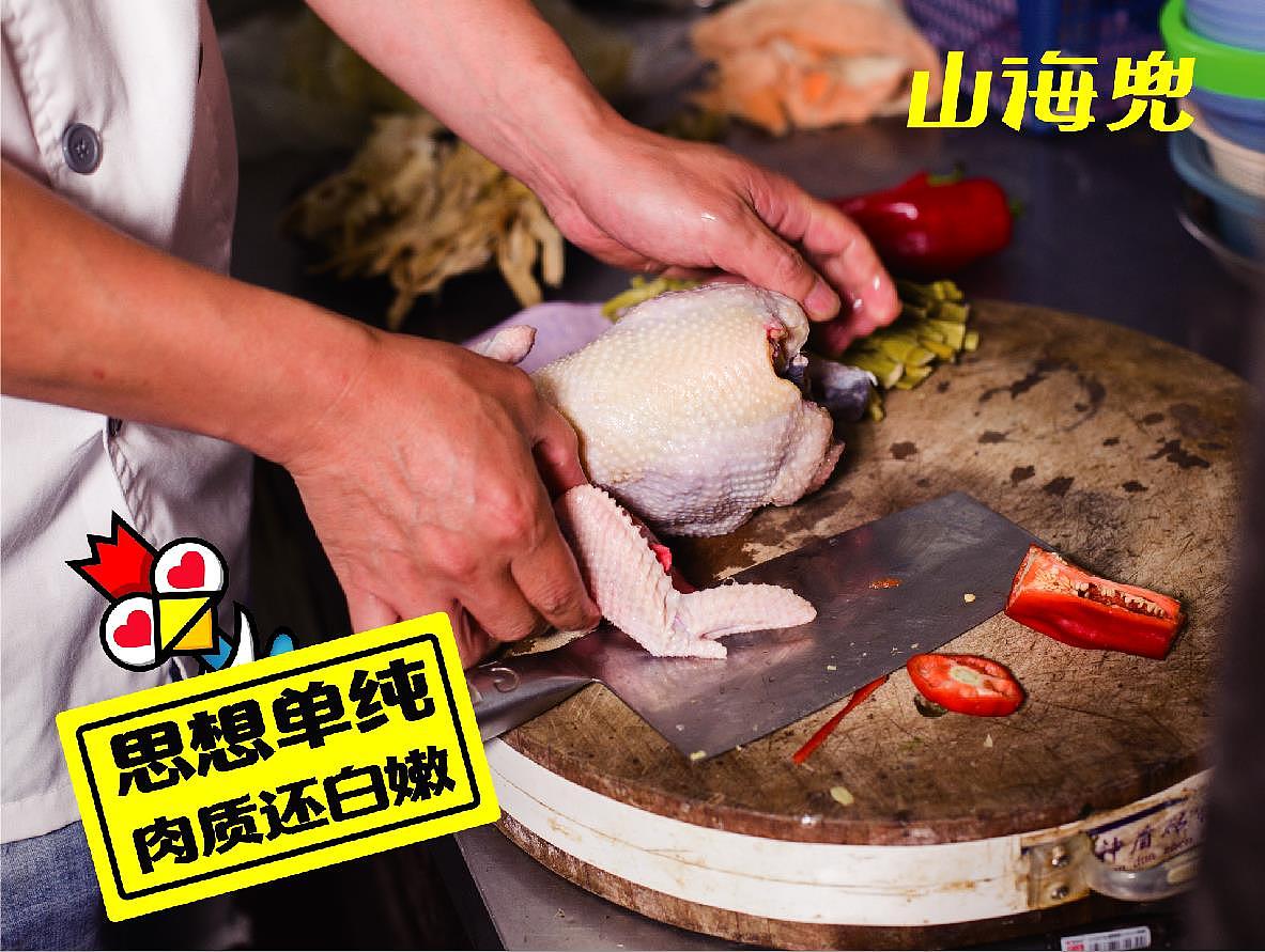 山海兜·花甲大盘鸡 餐饮品牌视觉VI