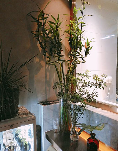 日上三甘(三里屯店)谁设计的 那家(哪个)公司设计的