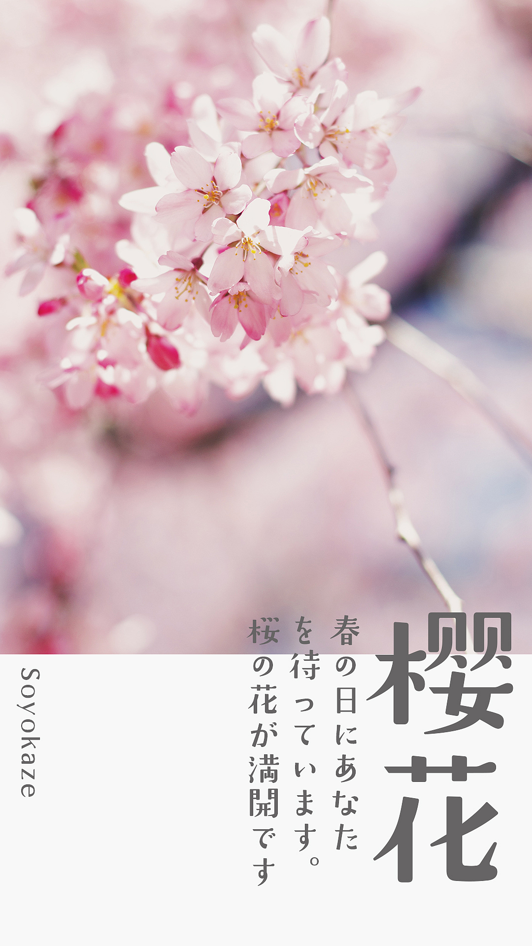 免费下载！GEETYPE-DS微风体-清新明快的中日双语字体（图ZMjg4MDg2Mzcy） - 字体/字形 - 站酷设计师极字和风字库原创素材 - 站酷ZCOOL