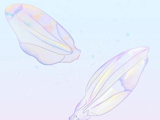梦幻的紫