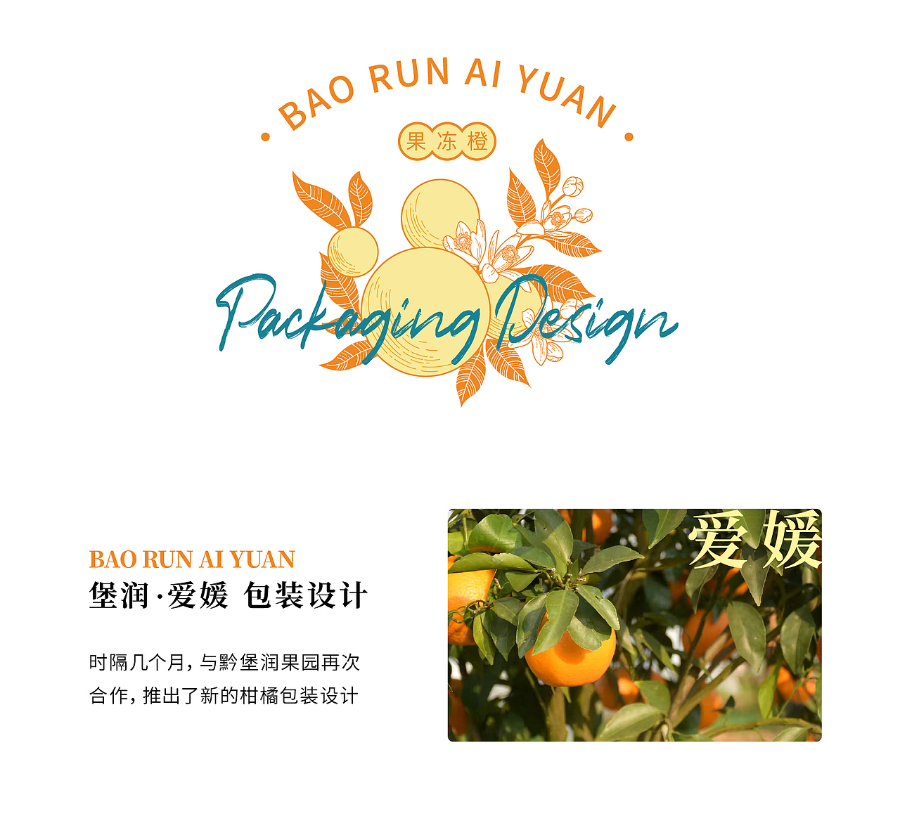 堡润爱媛-果冻橙 | 水果包装设计