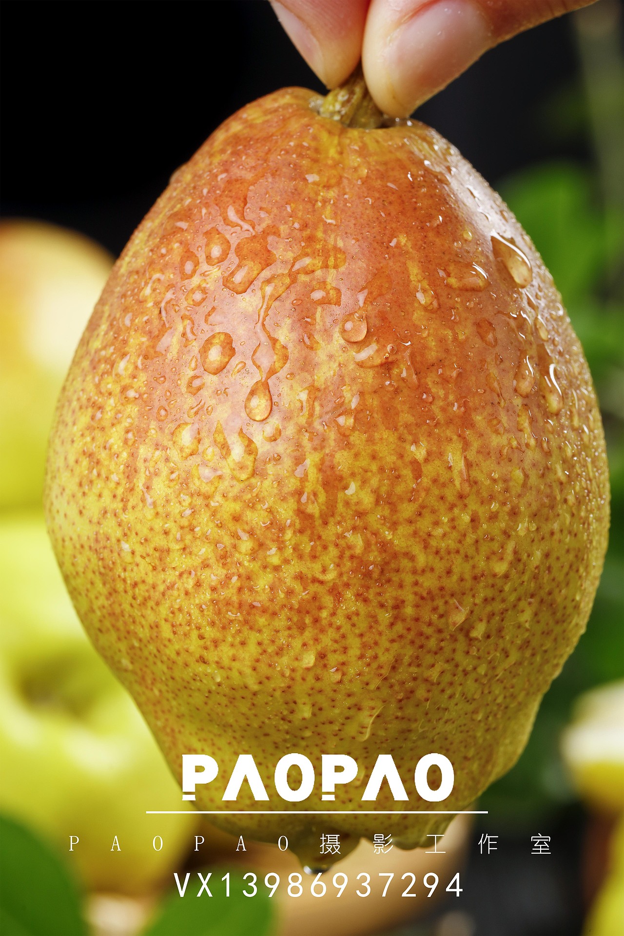 新疆最富盛名的果品之一~库尔勒香梨