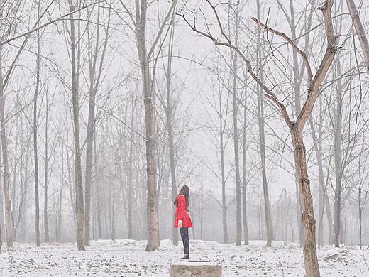 森林 雪