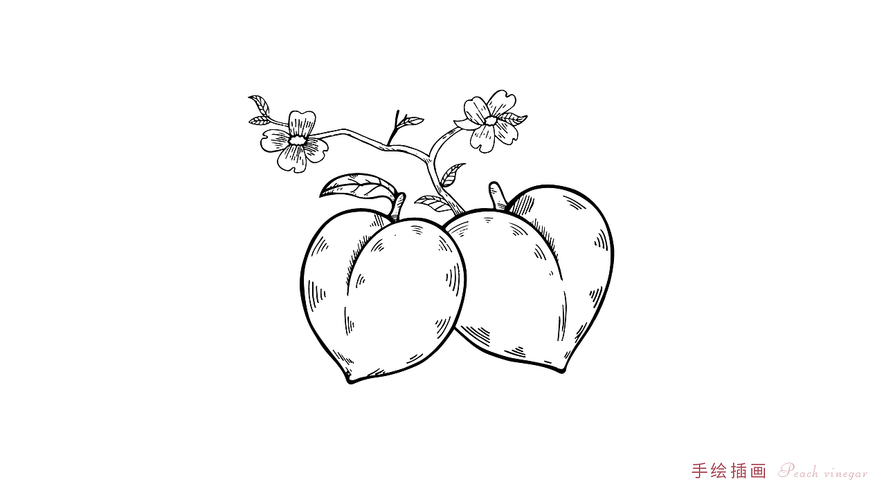 西郎里養(yǎng)生醋包裝設(shè)計（圖ZMTQzODg5OTQ4） - 包裝 - 站酷設(shè)計師此賬號已停用A原創(chuàng)素材 - 站酷ZCOOL