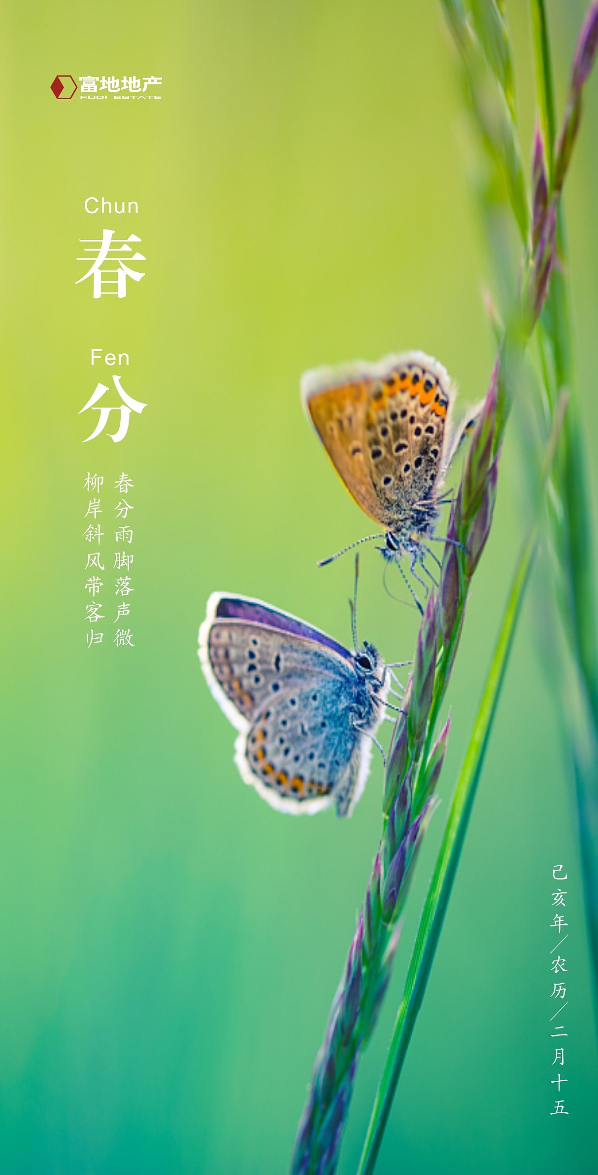 春分\二十四节气海报\微信海报\春天（图ZMTUwNDEyNjk2） - 海报 - 站酷设计师飞度视觉的强原创素材 - 站酷ZCOOL