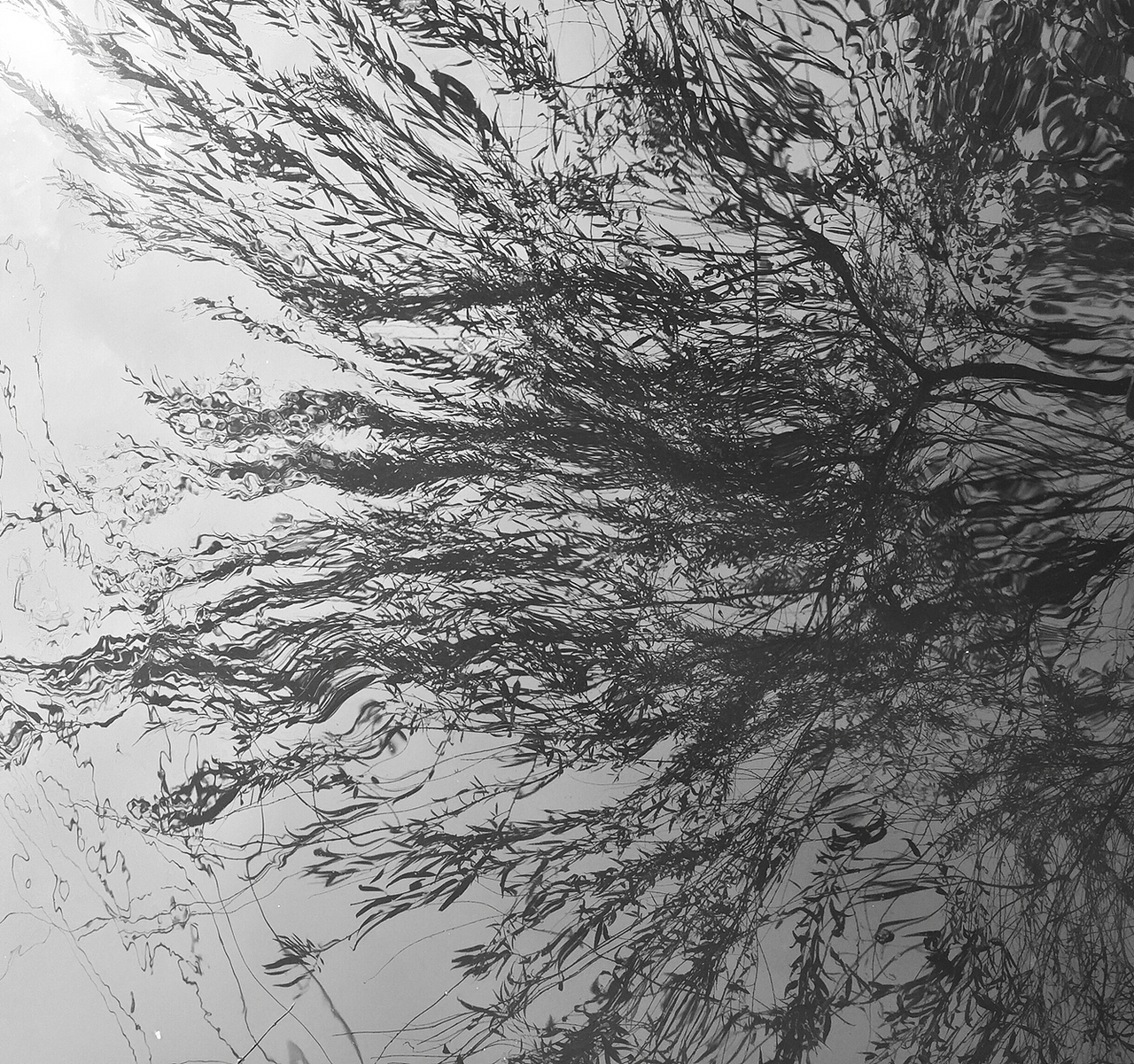 15年的最后印记