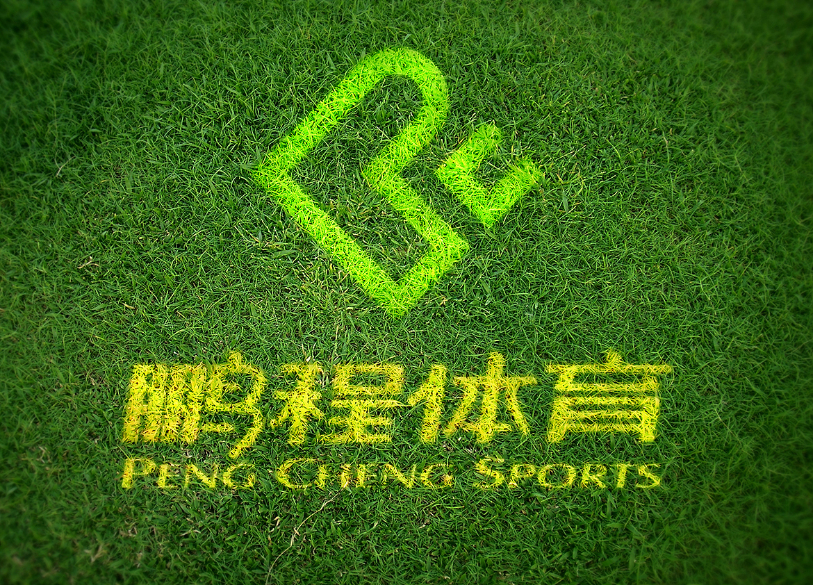 泰州LOGO設(shè)計(jì)公司-泰州標(biāo)志設(shè)計(jì)公司-鵬程體育品牌設(shè)計(jì)（圖ZMjAzNjk4MDU2） - Logo - 站酷設(shè)計(jì)師大唐歌飛品牌設(shè)計(jì)原創(chuàng)素材 - 站酷ZCOOL