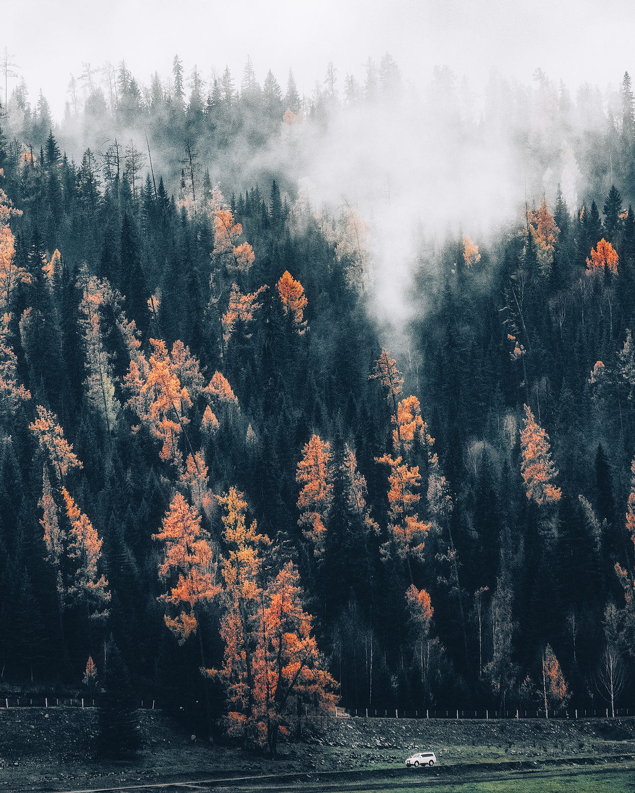 新疆童话 | TRIBUTES ON THE ROAD