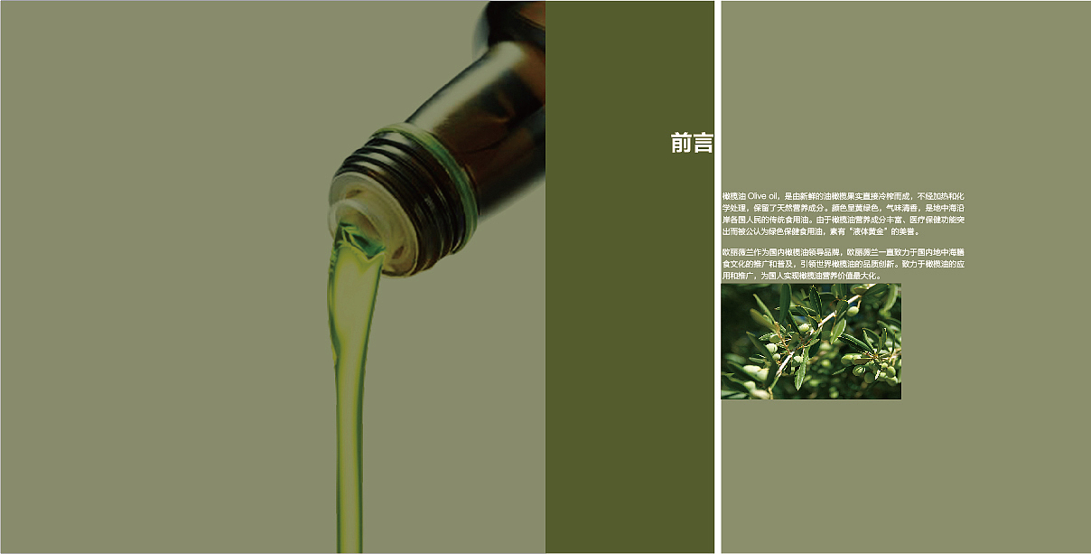 欧丽薇兰 Olivoilà画册设计（图ZMjI3Mjk5NzE2） - 书籍/画册 - 站酷设计师kekedenian原创素材 - 站酷ZCOOL