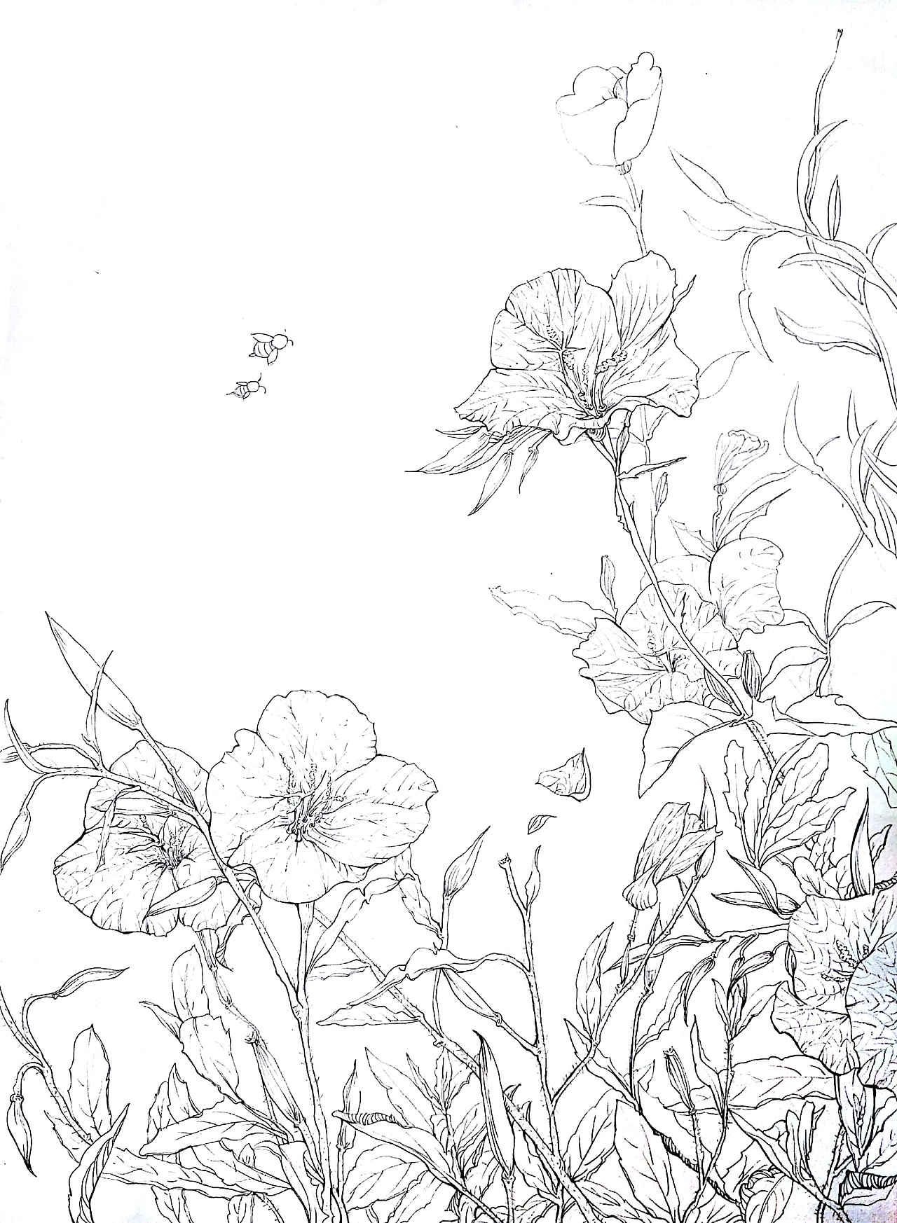 美丽月见草（图ZMTE0NTI0MDEy） - 绘画 - 站酷设计师夜绮罗原创素材 - 站酷ZCOOL