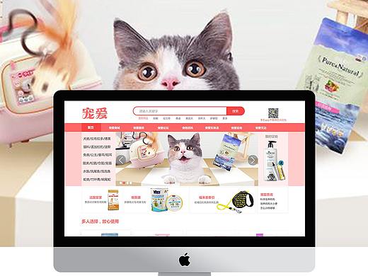 宠物网站