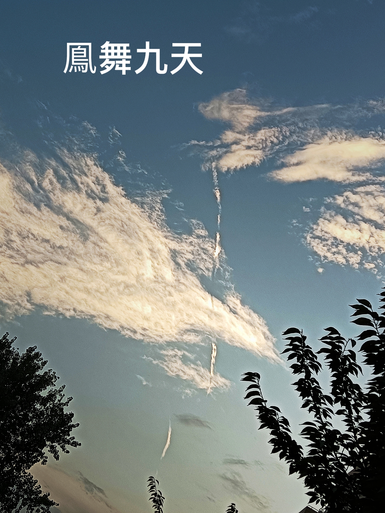 生活中到处美景