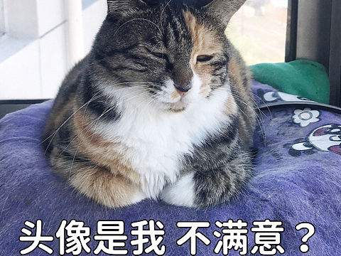 丹青表情包