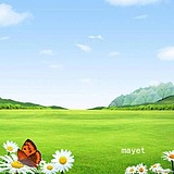 2mayet的头像