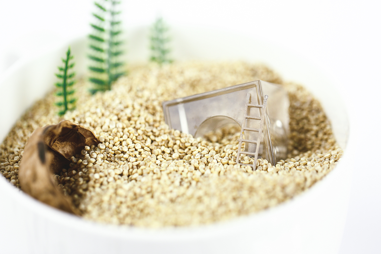 五谷（图ZMTg1NDIyNDUy） - 产品摄影 - 站酷设计师拍照的宽粉儿原创素材 - 站酷ZCOOL