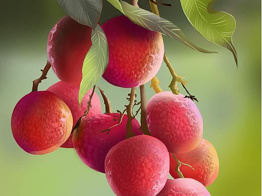 3月練習(xí)——荔枝（個人主頁-ZNTEwOTc2NTI=） - 商業(yè)插畫 - 站酷設(shè)計師是屁屁啊原創(chuàng)素材 - 站酷ZCOOL