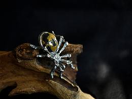 #手工银饰#蜘蛛胸针