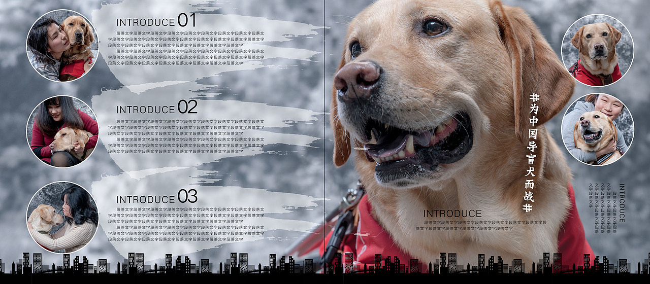 为中国导盲犬而战