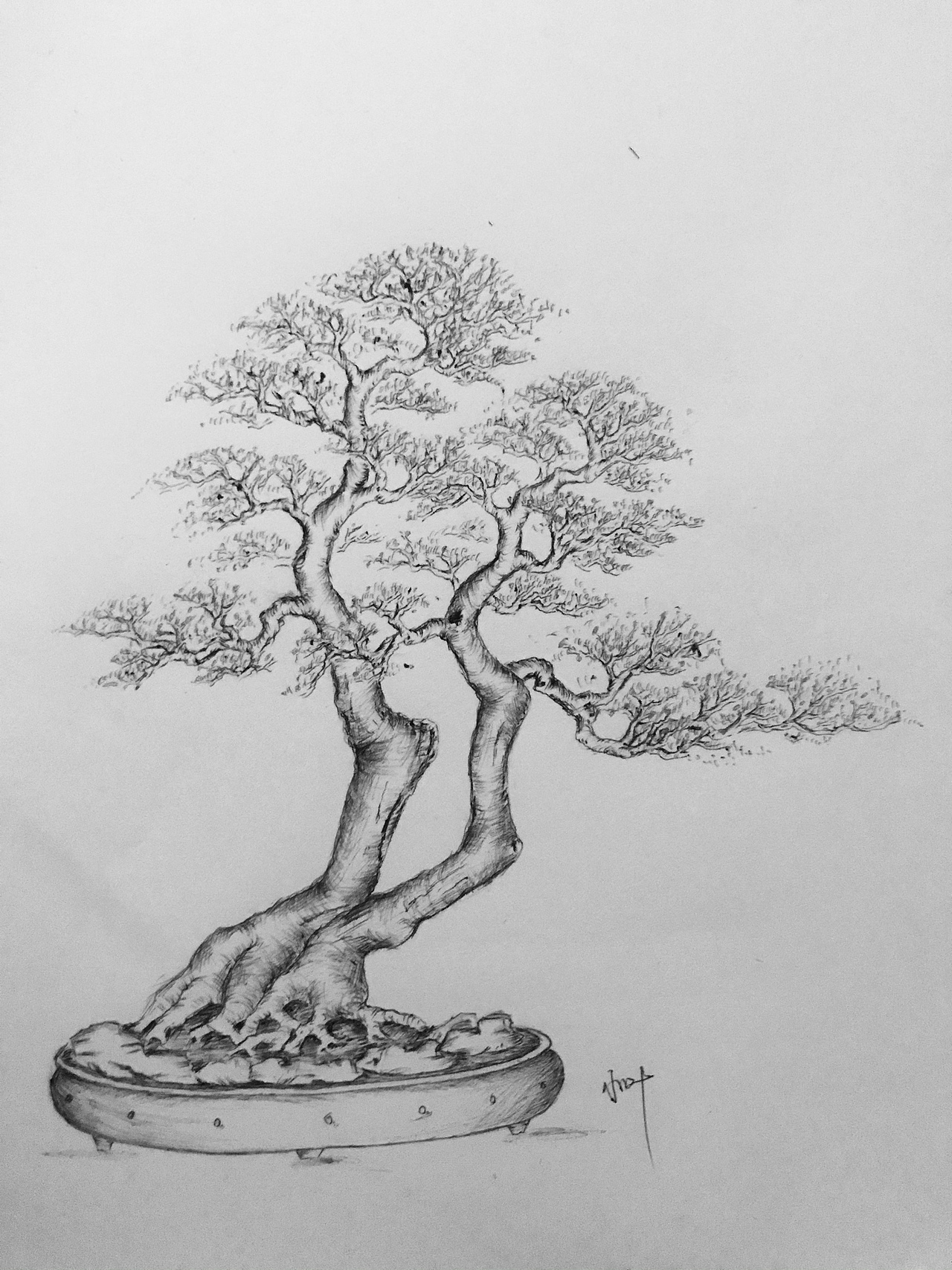 盆景（图ZMjUzMzMyODA4） - 绘画 - 站酷设计师Z75835907原创素材 - 站酷ZCOOL