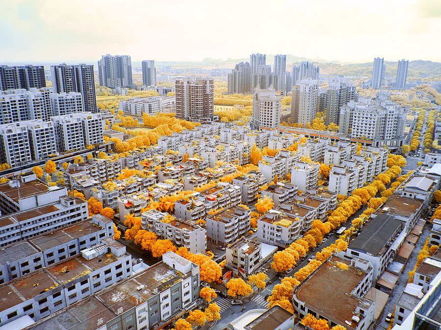 IR630 早来的秋意（图ZNTgyNjA3NzI=） - 风光摄影 - 站酷设计师janction原创素材 - 站酷ZCOOL