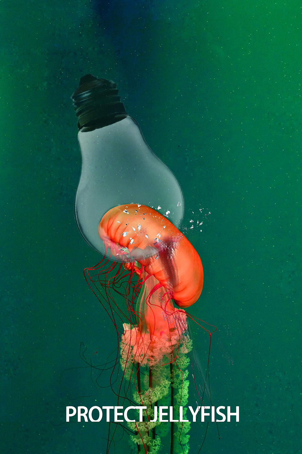 保护海洋生物|平面|海报|张小九九_原创作品-站酷zcool