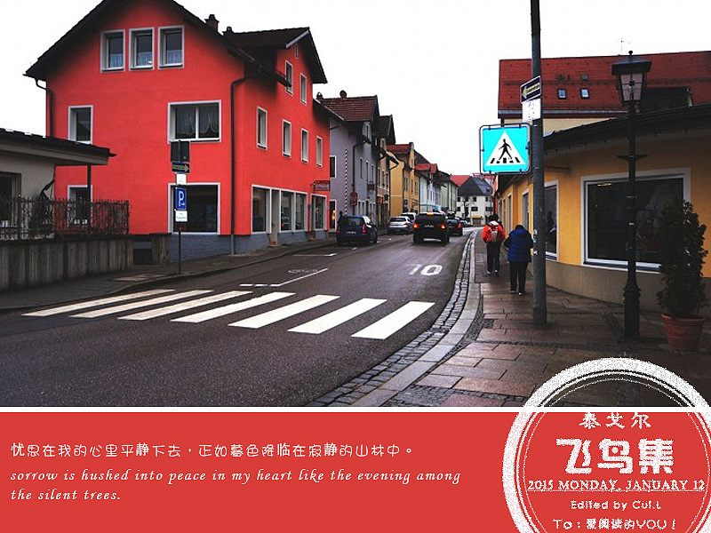 泰戈尔诗句节选《飞鸟集》