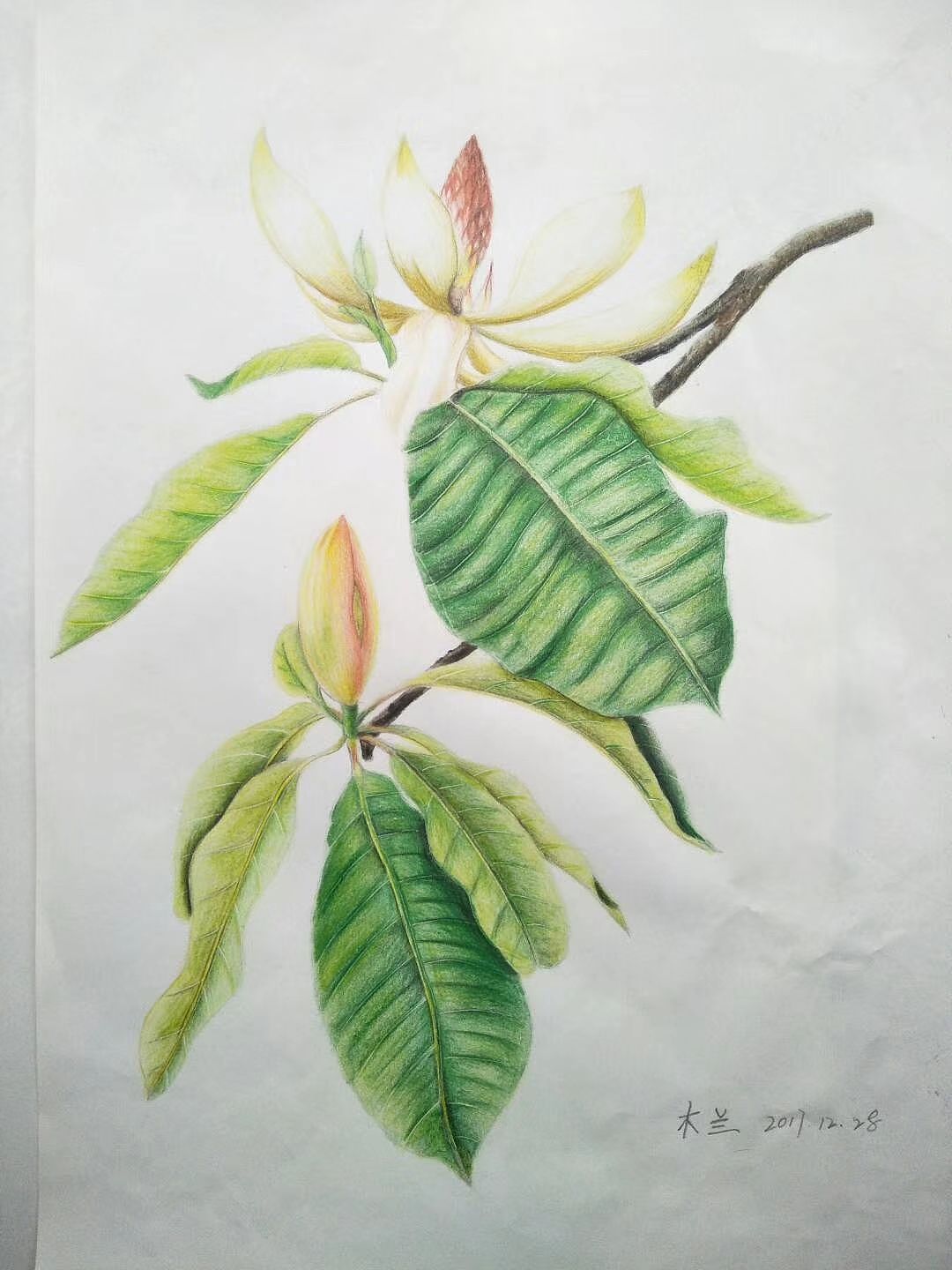 临摹（图ZMzU0MjAyMTY0） - 创作习作 - 站酷设计师Z025026128原创素材 - 站酷ZCOOL