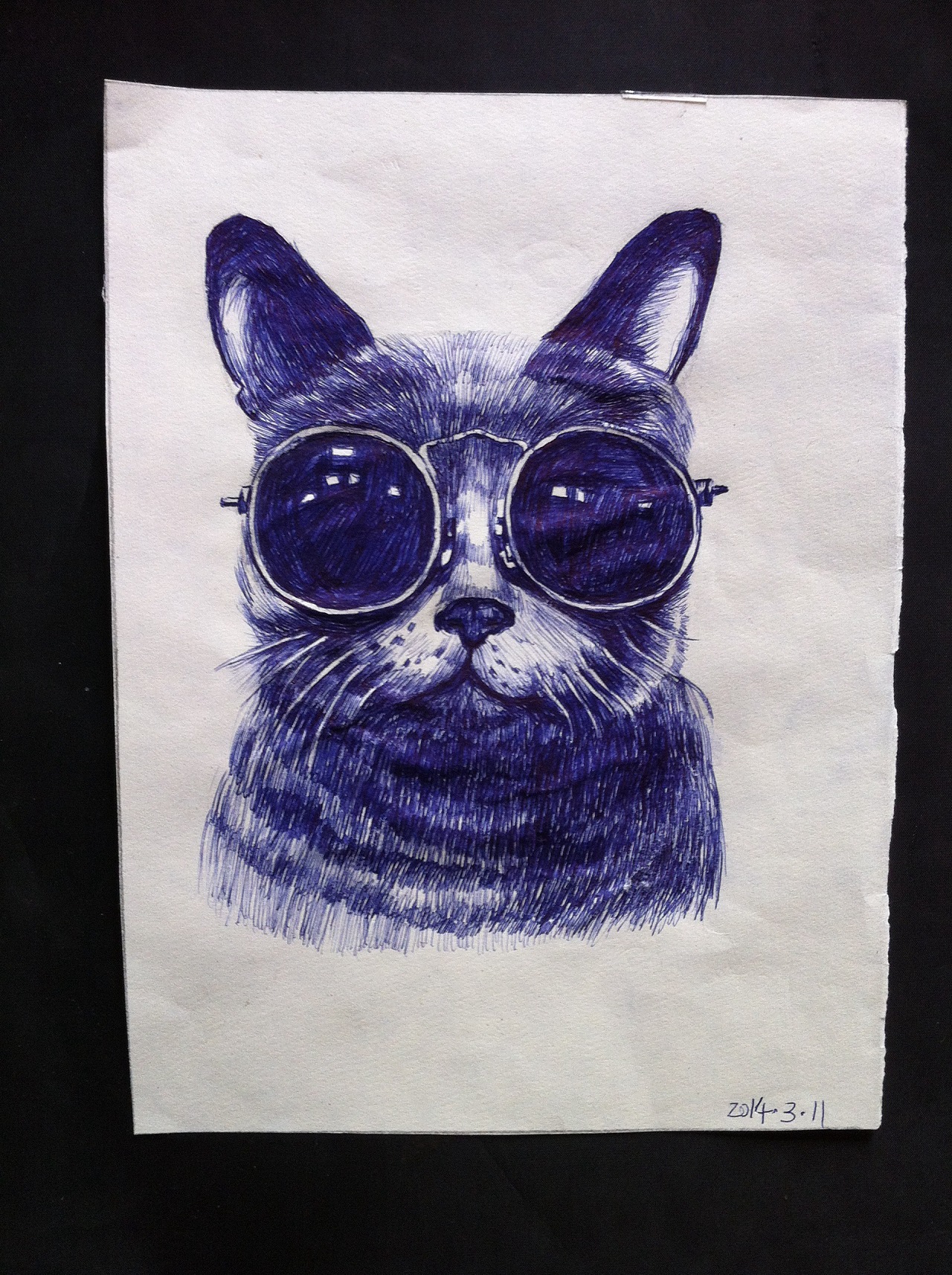 猫咪圆珠笔画
