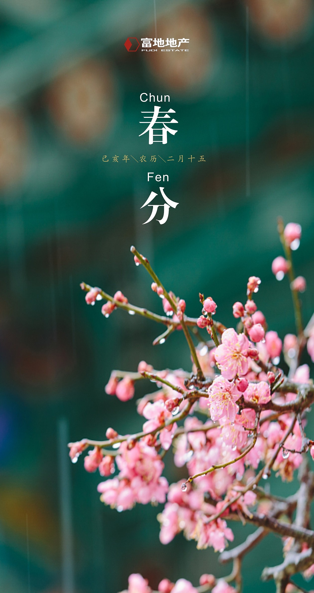 春分\二十四节气海报\微信海报\春天（图ZMTUwNDEyNjY0） - 海报 - 站酷设计师飞度视觉的强原创素材 - 站酷ZCOOL