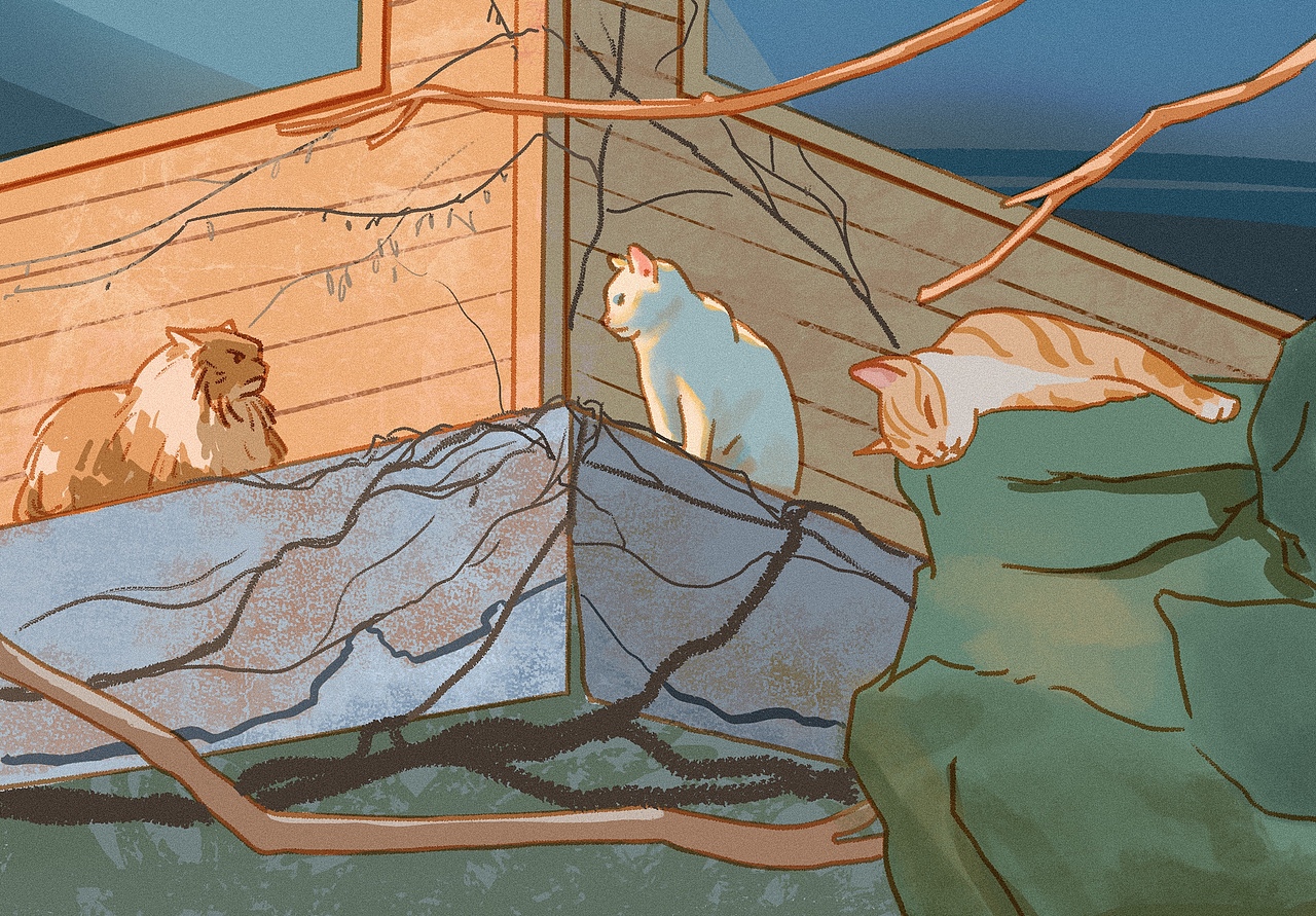 60天色彩速途总结