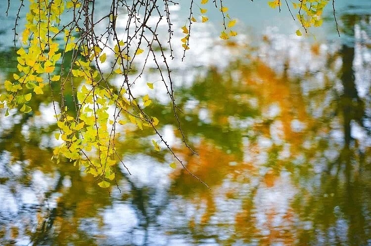 家乡的秋天（图ZMTMwODc2NzM2） - 风光摄影 - 站酷设计师雁过无恒原创素材 - 站酷ZCOOL