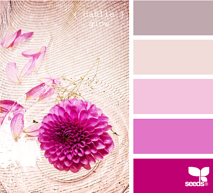 美丽的配色卡啊——02（图ZMTQwMzYyODY0） - 图案 - 站酷设计师Bona_Dai原创素材 - 站酷ZCOOL