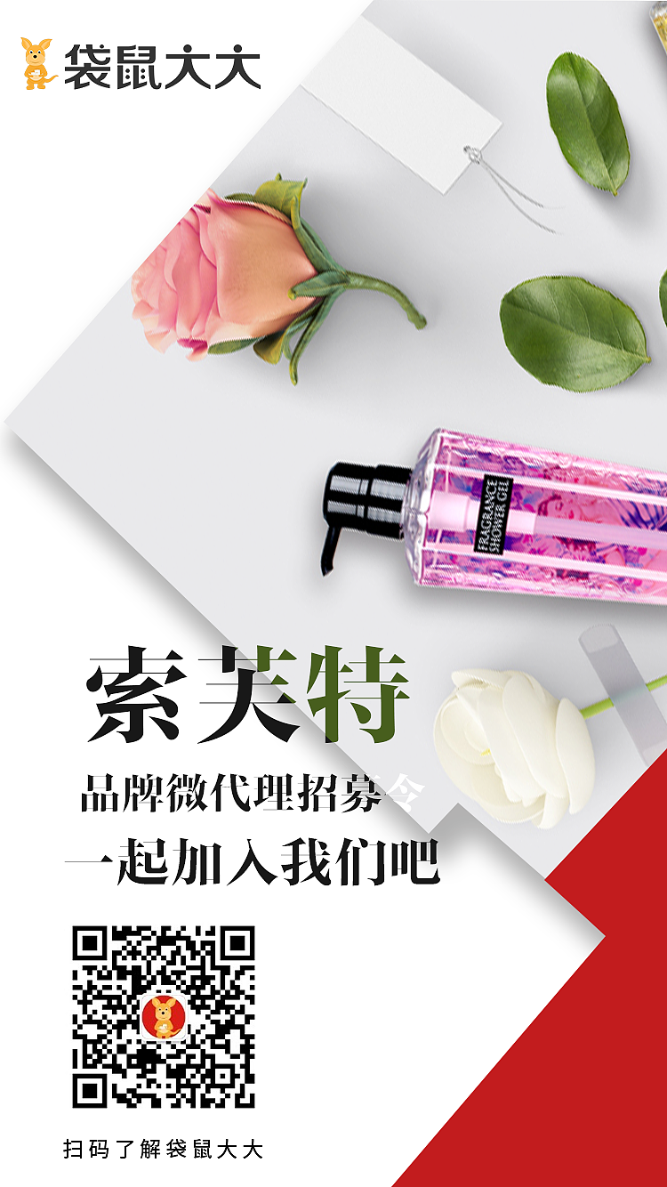 袋鼠大大品牌聯(lián)合海報(bào)（圖ZMTU5MTE0NjUy） - 海報(bào) - 站酷設(shè)計(jì)師分開(kāi)旅行C原創(chuàng)素材 - 站酷ZCOOL