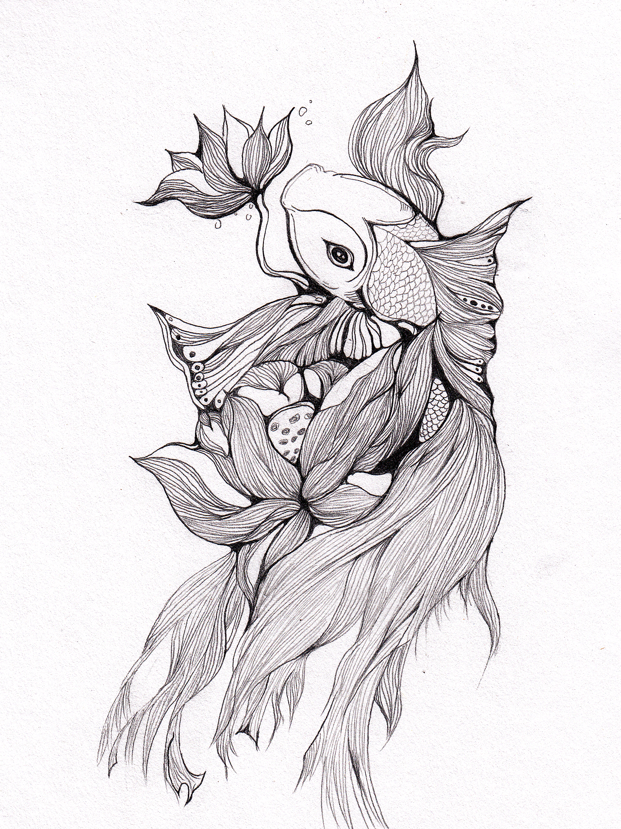 手绘素描小金鱼