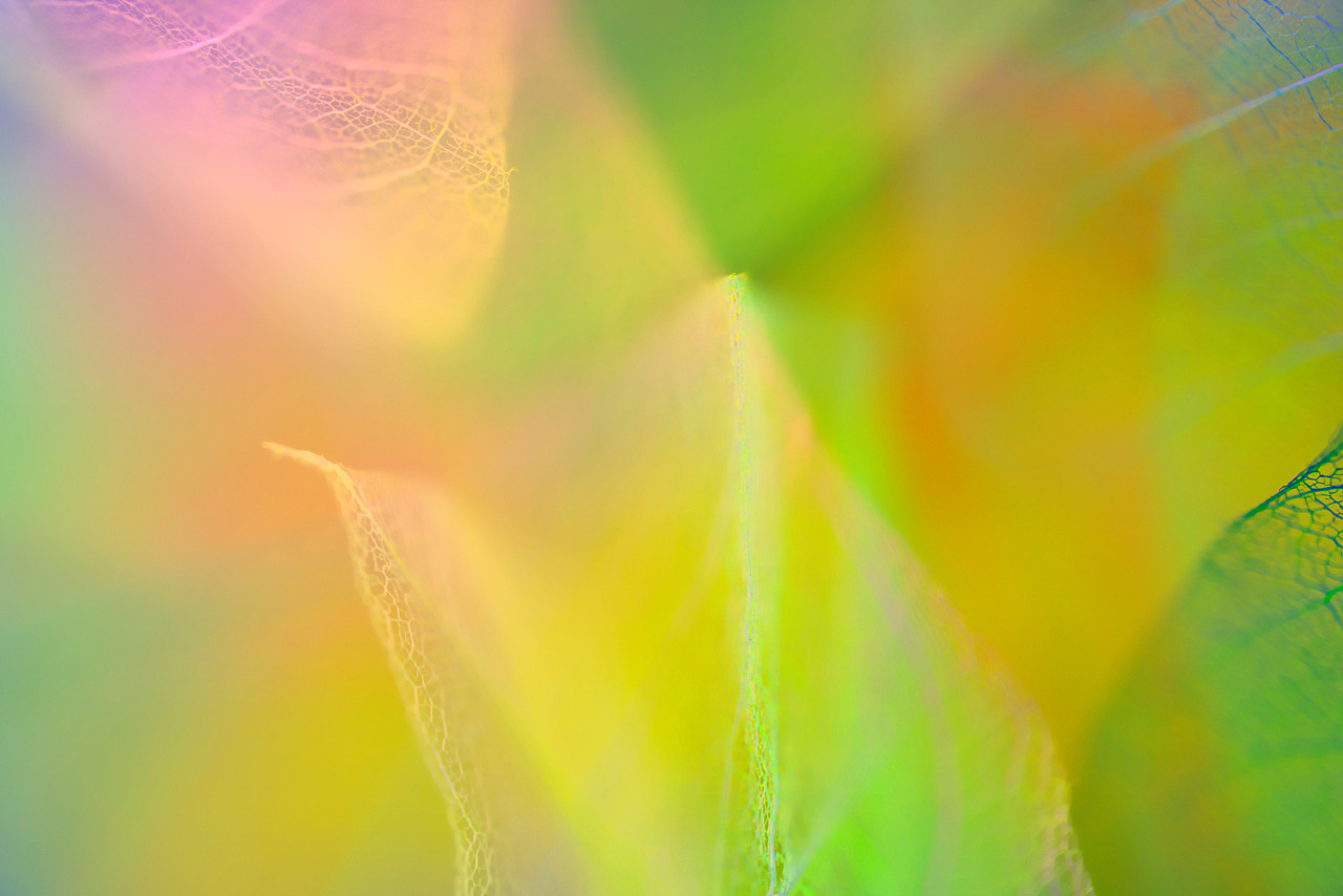 绽影像之《撕雾》（图ZMjU1MjEzNzI4） - 时尚/艺术摄影 - 站酷设计师陈绽原创素材 - 站酷ZCOOL