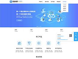 企業(yè)網(wǎng)站