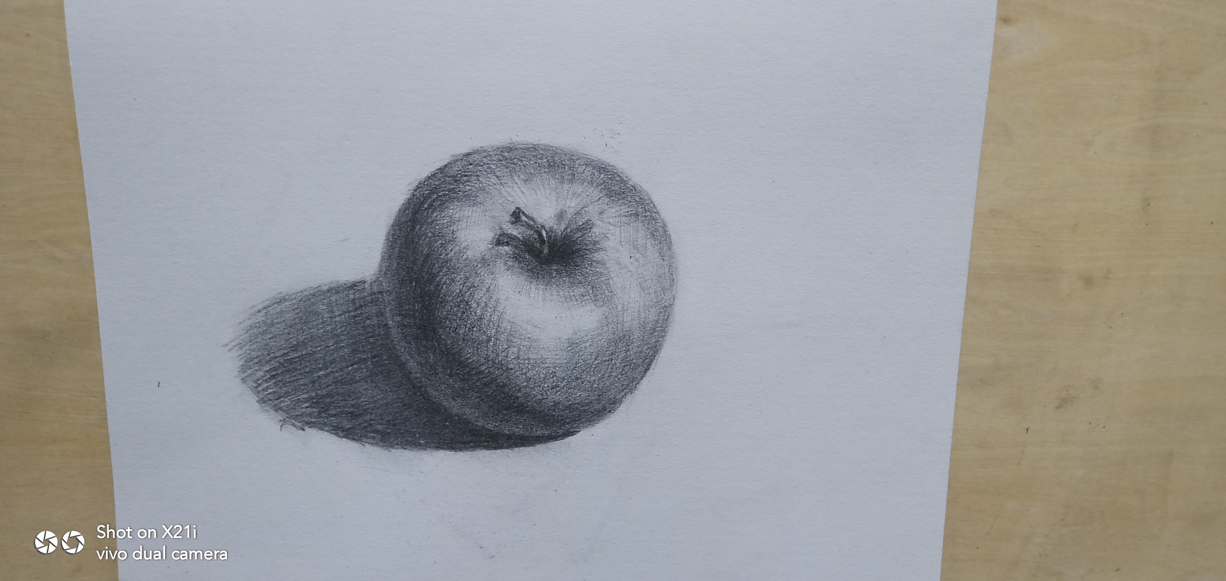 素描手绘苹果