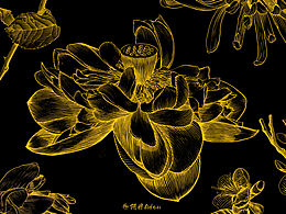 版画针管笔黑白