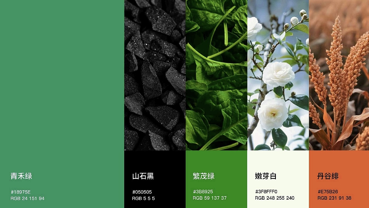 《粮芯先生》路要慢慢走,饭要好好吃