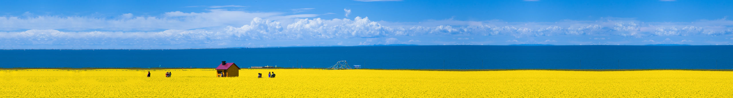 DaisyChu的個人主頁（封面預(yù)覽） - 主頁封面設(shè)置 - 站酷設(shè)計師DaisyChu原創(chuàng)素材 - 站酷ZCOOL