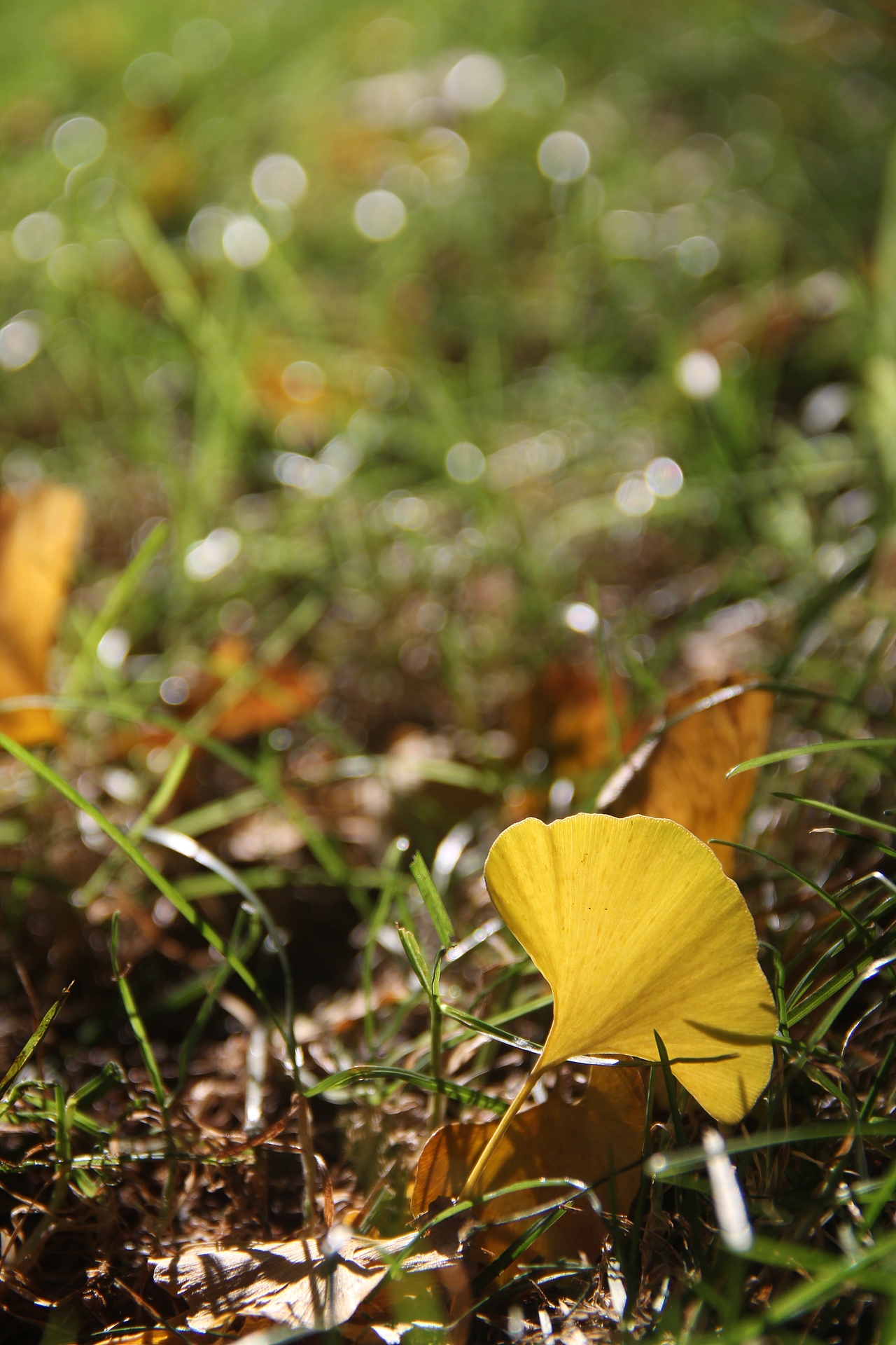 《轮回》云南大学