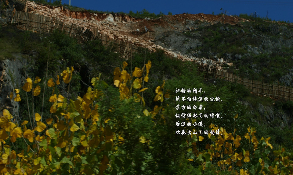 水韵云调(节选)