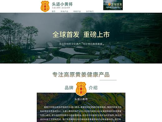 头道小黄将洗护首页