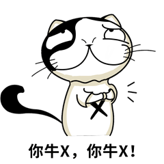 stxer-cat动图表情包