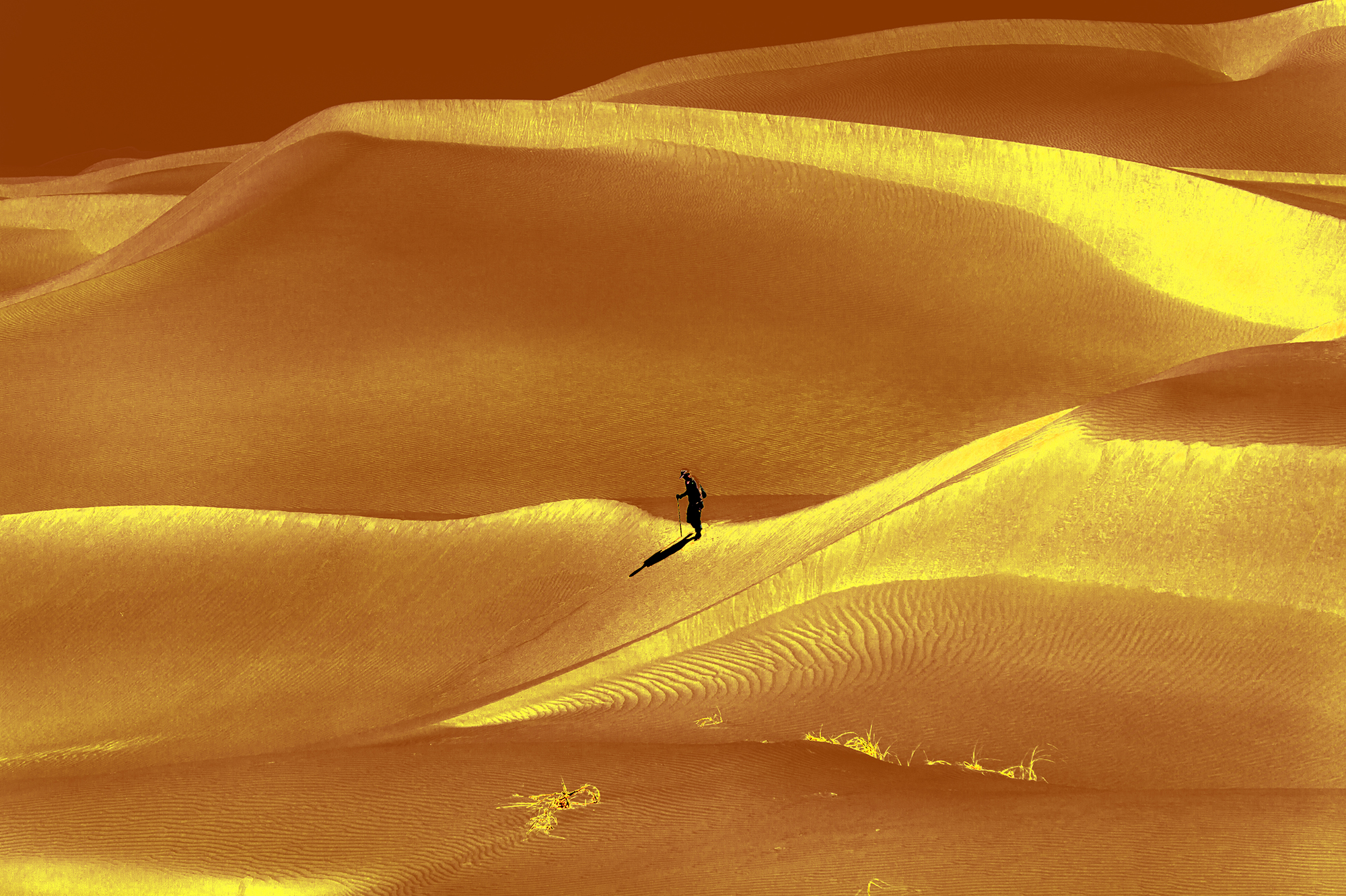 沙漠图片高清 孤独图片