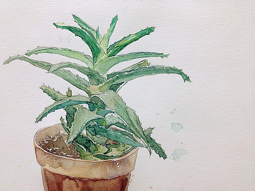 水彩插画（图ZMjIxOTk5NDg=） - 创作习作 - 站酷设计师Arwwen原创素材 - 站酷ZCOOL