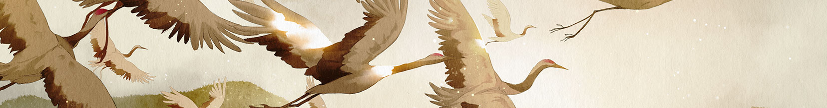 云中木笙的个人主页（封面预览） - 主页封面设置 - 站酷设计师云中木笙原创素材 - 站酷ZCOOL