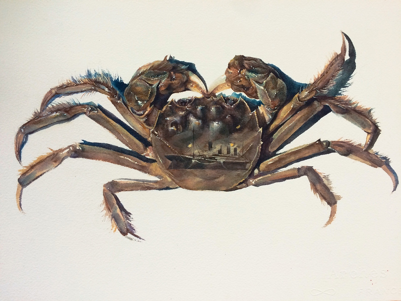 蟹&鱼（图ZMTIwNzI3NzYw） - 绘画 - 站酷设计师xcxo原创素材 - 站酷ZCOOL