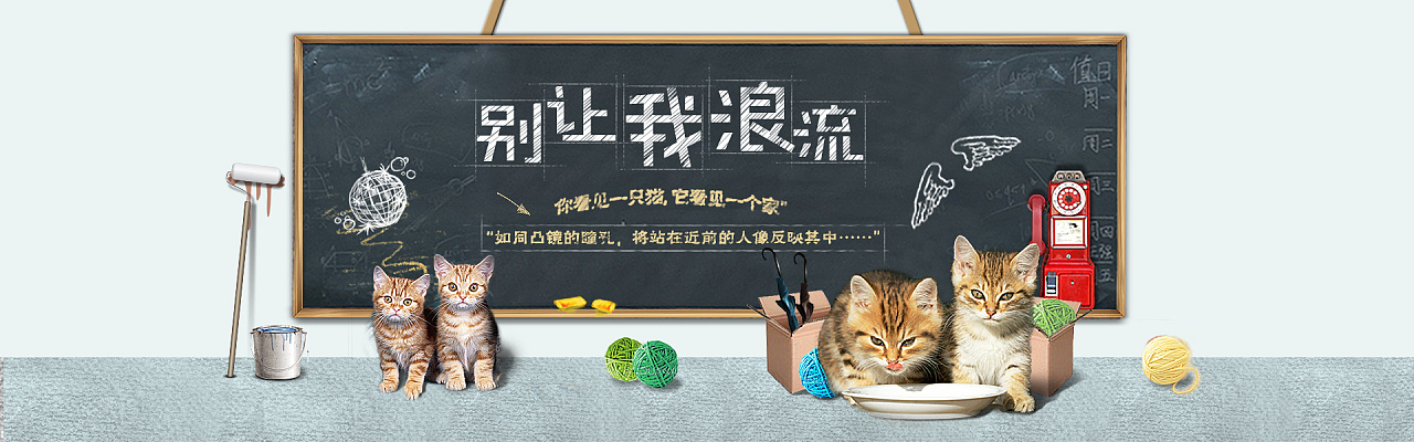 流浪猫公益广告banner设计